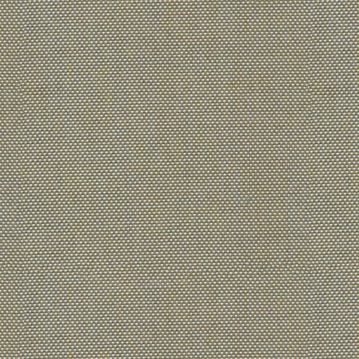 Canvas - Warm Sand