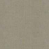 Canvas - Warm Sand