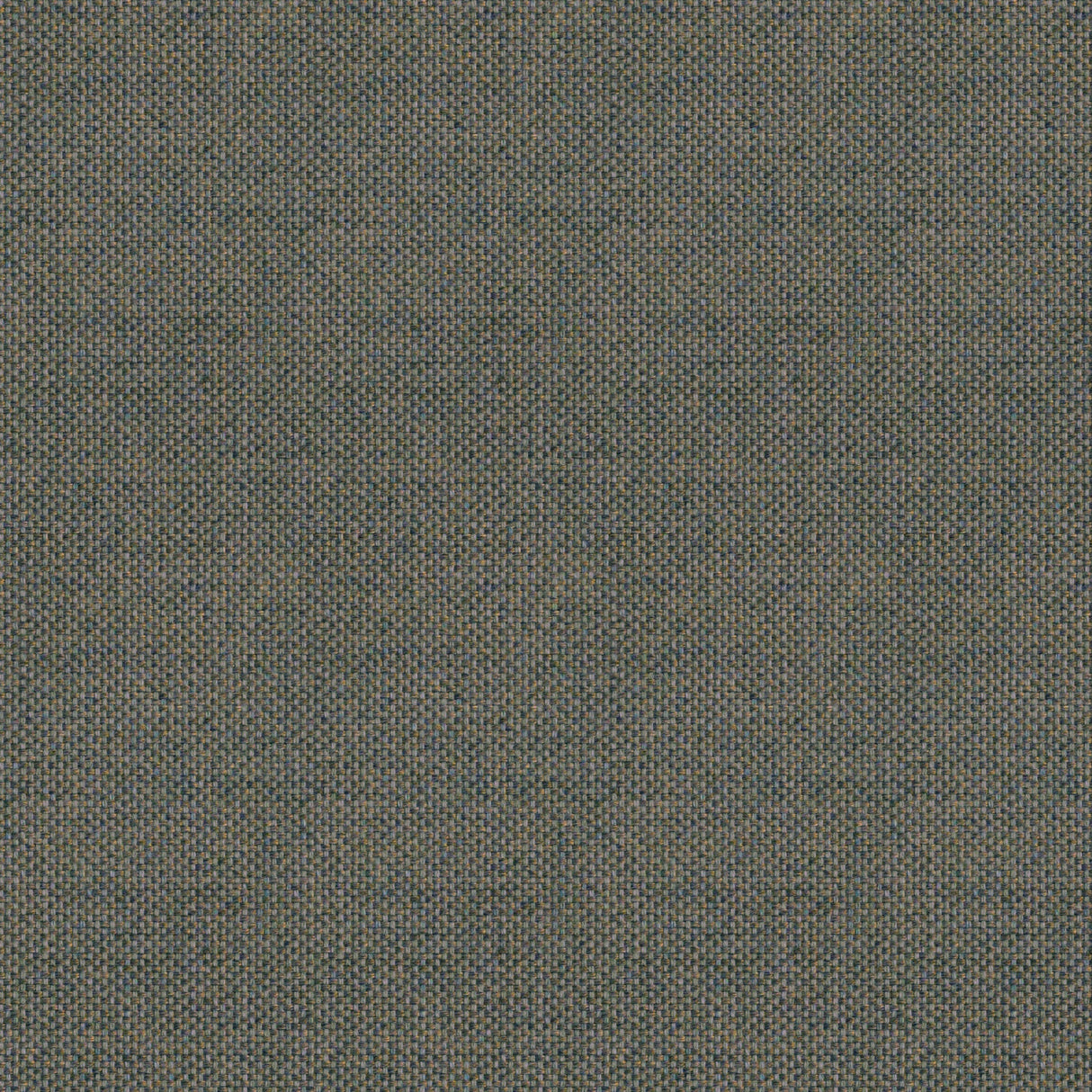 Canvas - Elmwood