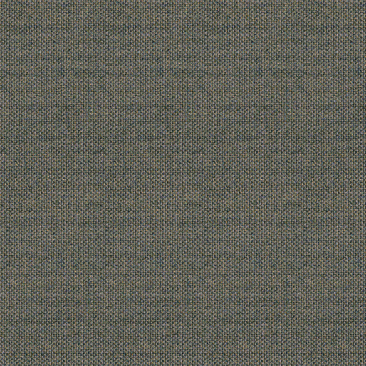 Canvas - Teak