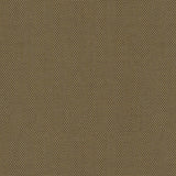 Canvas - Frost White