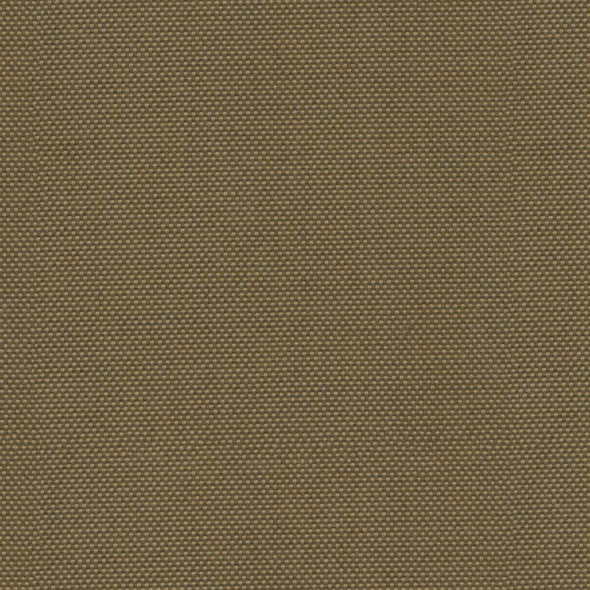Canvas - Teak