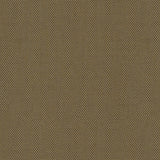 Canvas - Teak
