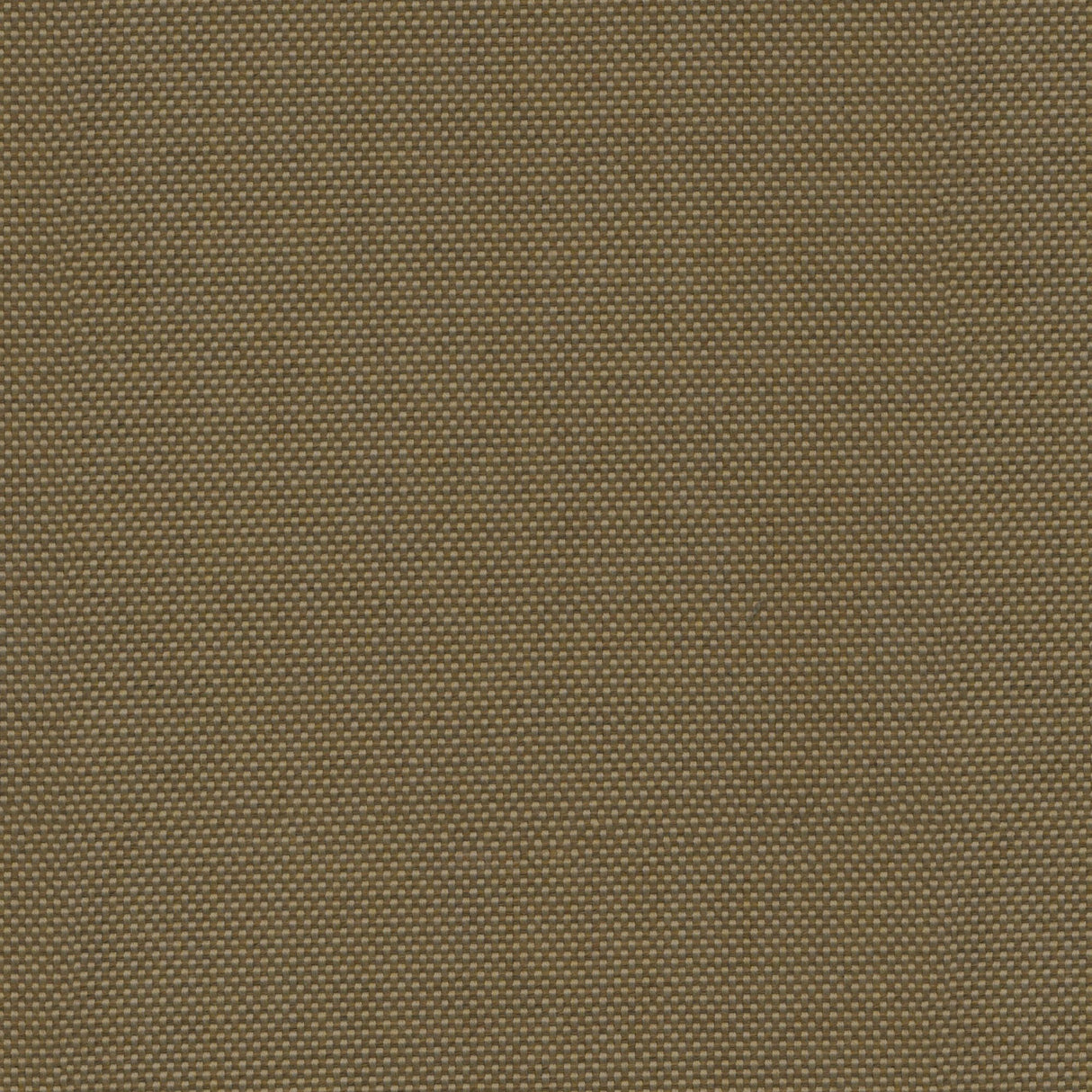 Canvas - River Sand