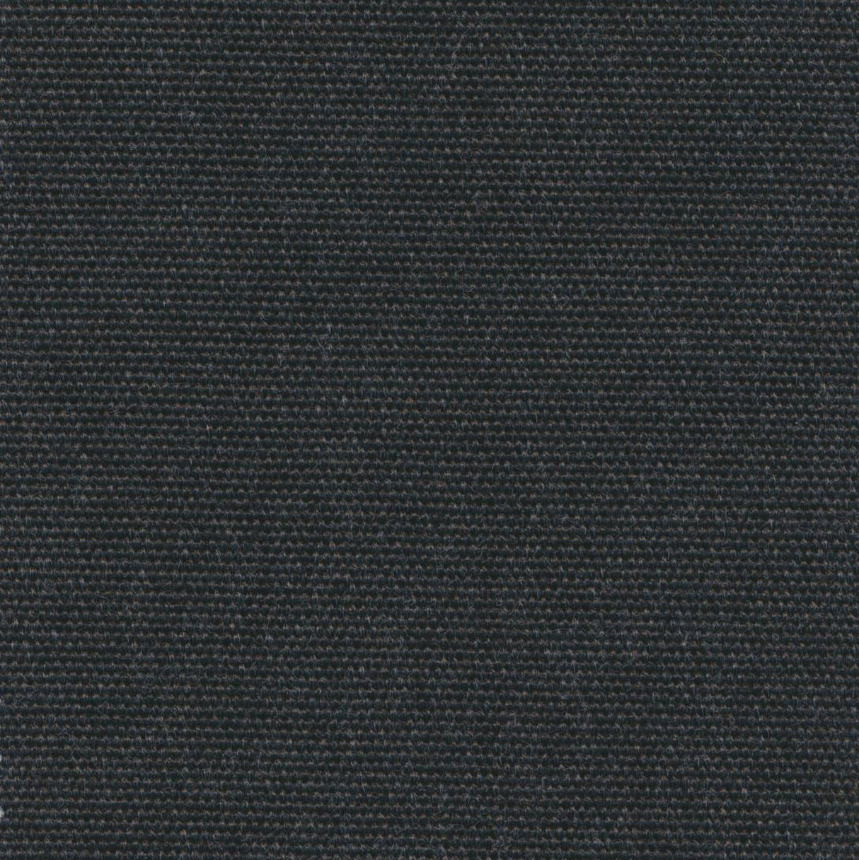 Canvas - Teak