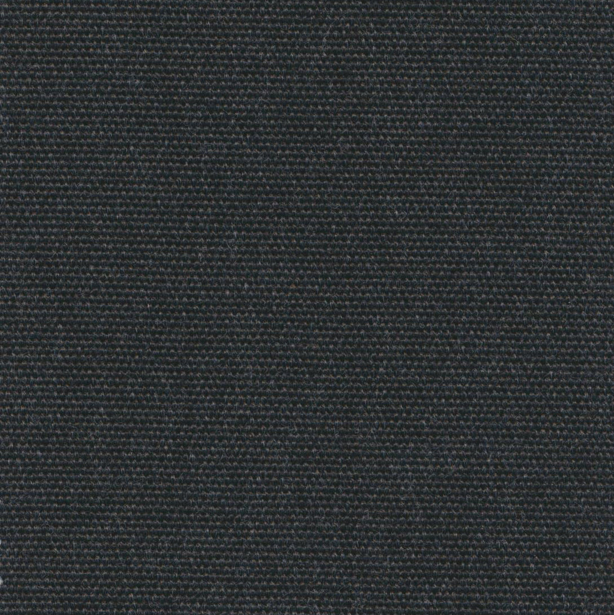 Canvas - River Sand