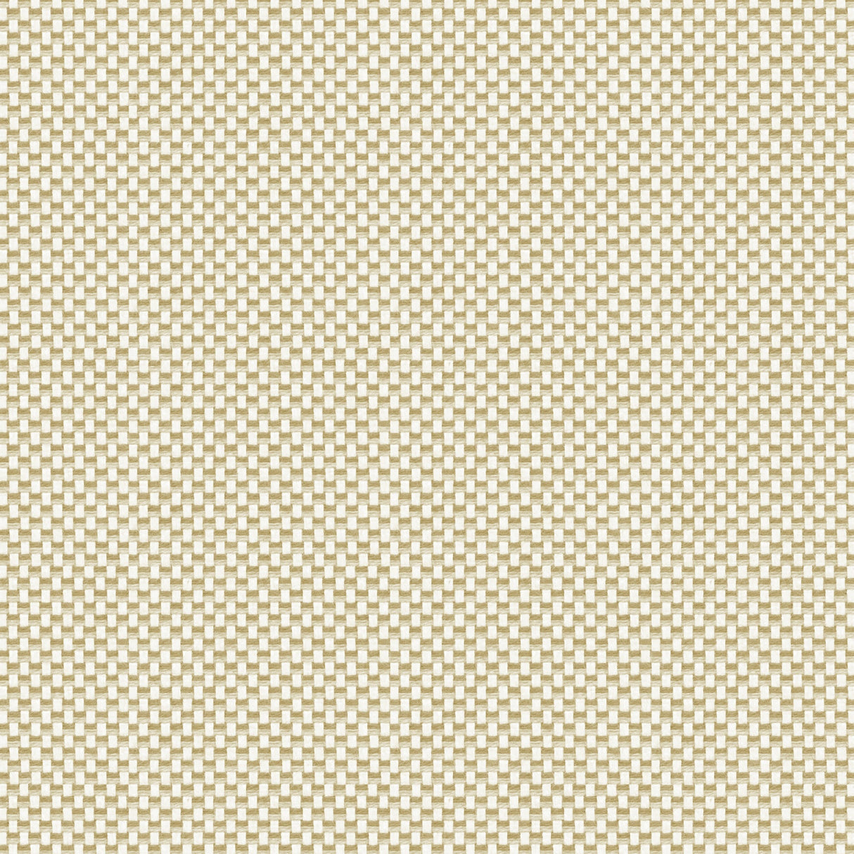 Grid - Tidal Foam